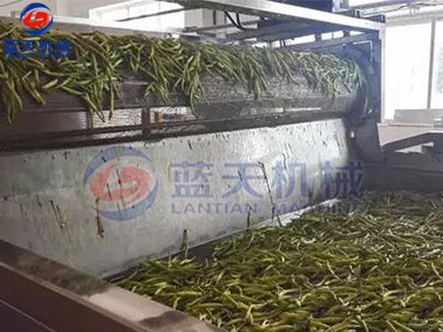 湖南帶式果蔬烘干機(jī)用戶現(xiàn)場(chǎng)